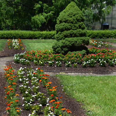 CFG Entryway Flowers