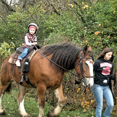 Horseback Riding at Sebald Park