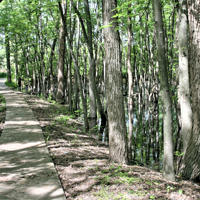 Gilmore Ponds MetroPark