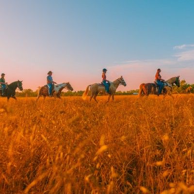 Nation Road Horse Rental