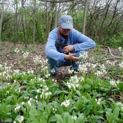 Bull's Run Arboretum