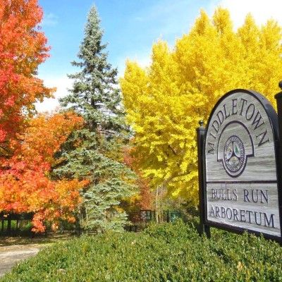 Bull's Run Arboretum