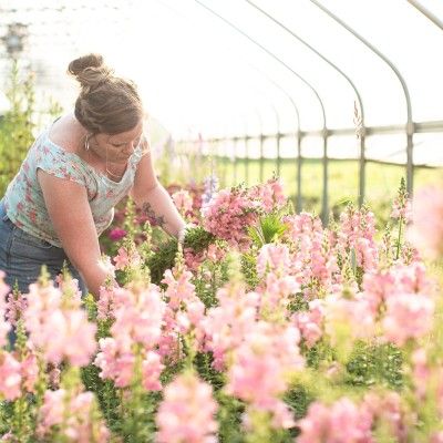 Two Little Buds Florist