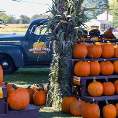 Pumpkin Display Garver Family Farm Market