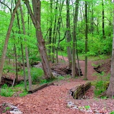 Bull's Run Nature Sanctuary & Arboretum