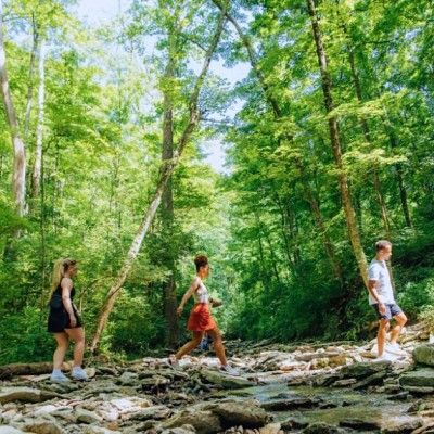 Rentschler Forest, Fairfield Ohio