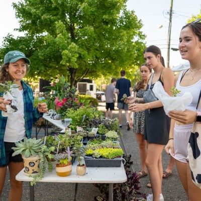 EarthFest