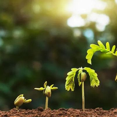 Arbor Day Celebration