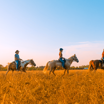 Nation Road Horse Rental