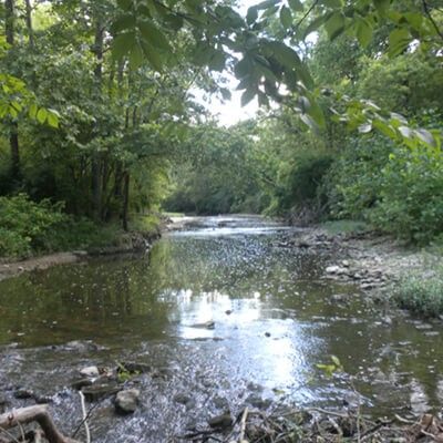 Antenen Nature Preserve Creek