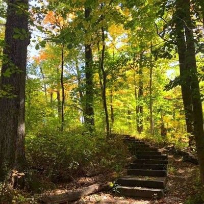 Bull's Run Aboretum, Middletown Ohio