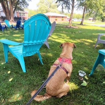Twist Ice Cream Company, Liberty Township Ohio