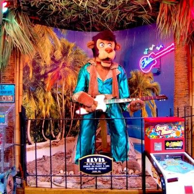 Jungle Jim's Elvis