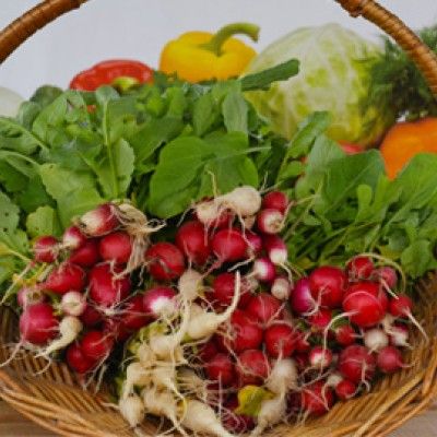 Fall Farmers Market West Chester, OH