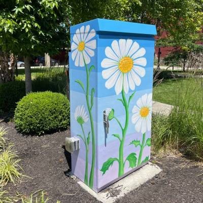 Eye of the Day Utility Box