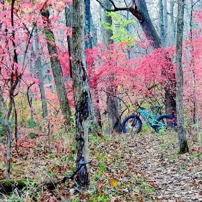 Harbin park mountain bike trails 2025