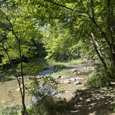 Dudley Woods