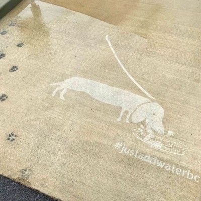 Just Add Water, Furfield Park