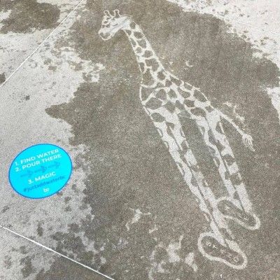 Just Add Water, Jungle Jim's