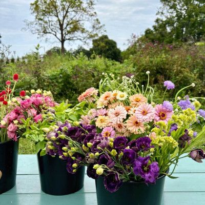 U-pick Bouquets, Knebel's Flower Farm