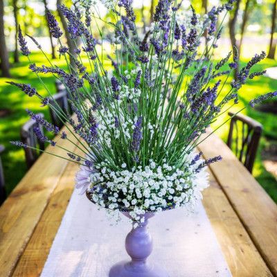 White Barn & Blooms Lavender Farm