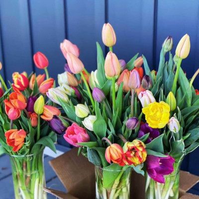 Lawson's Flower Farm, Middletown Ohio