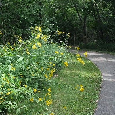 Liberty Park Bike trail