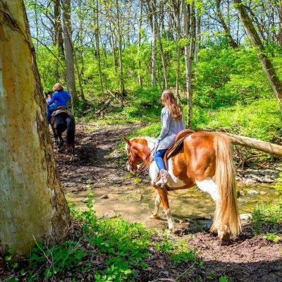 Nation Road Horse Rental, Oxford Ohio