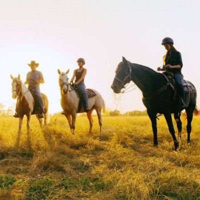 Nation Road Horse Rental, Oxford Ohio