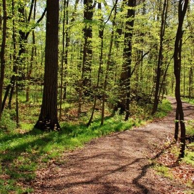 Nature Preserve