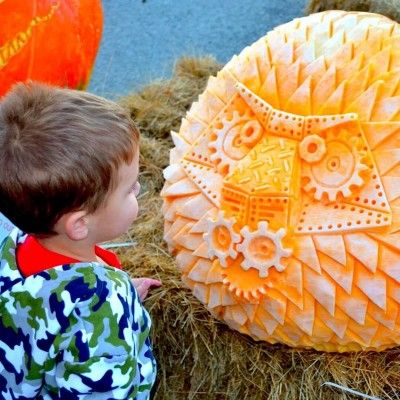 Operation Pumpkin, Hamilton Ohio