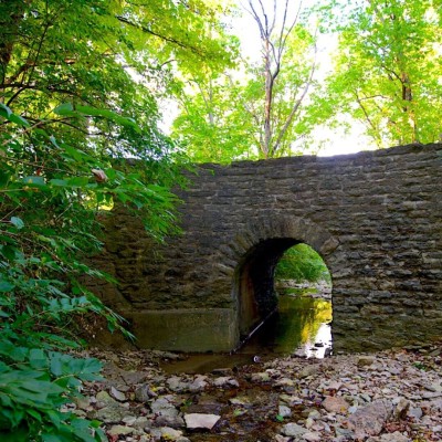 Rentschler Forest, Fairfield Ohio