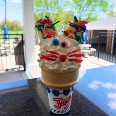Twist Ice Cream Company, Liberty Township Ohio