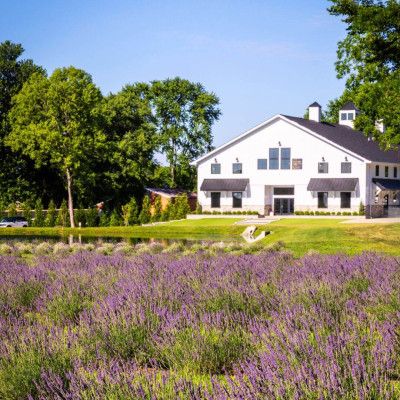 White Barn & Blooms Lavender Farm, Ross Township Ohio