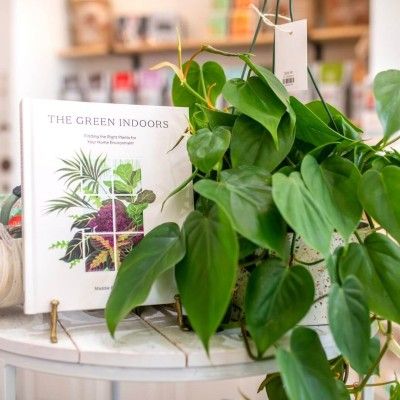 Wildfire Hygge Goods, Hamilton Ohio