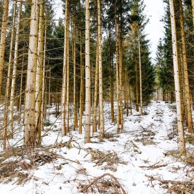 Winter Hike Series, Butler County Ohio MetroParks