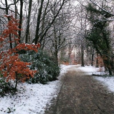 Winter Hike Series, Butler County Ohio MetroParks