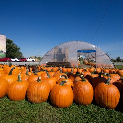Barn-N-Bunk Farm Market