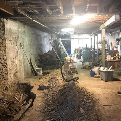 Chubby Bunny & Chickpea Chicks repairs