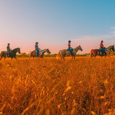Nation Road Horse Rental