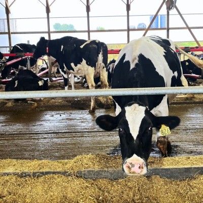 Image file Mullen-Dairy-Creamery5_F96FAE89-C153-429D-1276BEE6145CA02E-f96fad4abc33ca0_f96fc3b1-efa2-922b-bee951b47fda426c.jpg