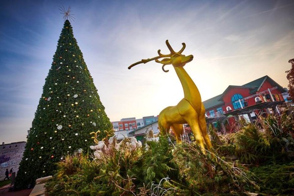 Liberty Center - Christmas Tree