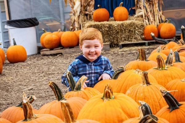 Barn-N-Bunk Farm Market, Trenton Ohio