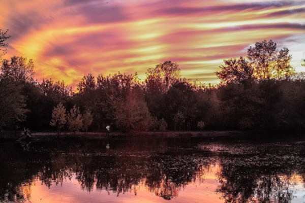 Image file Gilmore-Ponds-Metropark-Sunset_fab9bb29-5056-a36a-098af9149ce45b1f.jpg