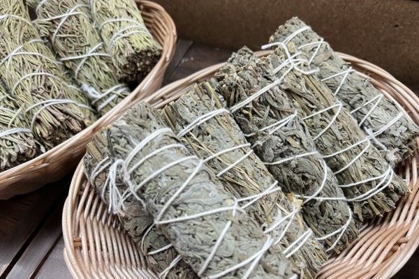 Image file IMG_6199_59D63746-ECE6-2B2B-B74E4F6CD4555E9A-59d632d093bc567_59d63c3f-cf96-074d-73f1089c94d41c11.jpg