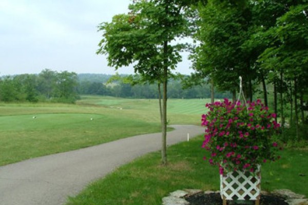 Image file Indian-Ridge-Flowers_faca2aa5-5056-a36a-099024143bf8fb26.jpg