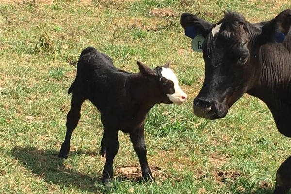Image file Jackson-Family-Farm-bc5362be5056a36_bc5363c9-5056-a36a-093dd3c34a8a0fe8.jpg