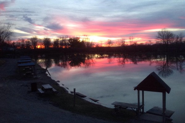 Image file Lake-Liberty_314D7314-5056-A36A-098400FEE9A6C95A-314d6fc85056a36_314d738c-5056-a36a-09bc5505b28fae40.jpg
