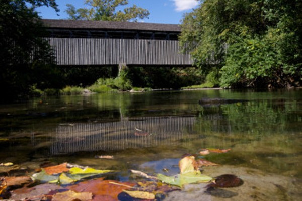 Image file blackcoveredbridge10-1b98bbfc5056a36_1b98bf5a-5056-a36a-090133e6082a1ba7.jpg