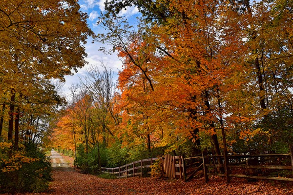 Image file dudleymemorialpark0-d239ee415056a36_d239efdd-5056-a36a-09e7cd6a008b2950.jpg